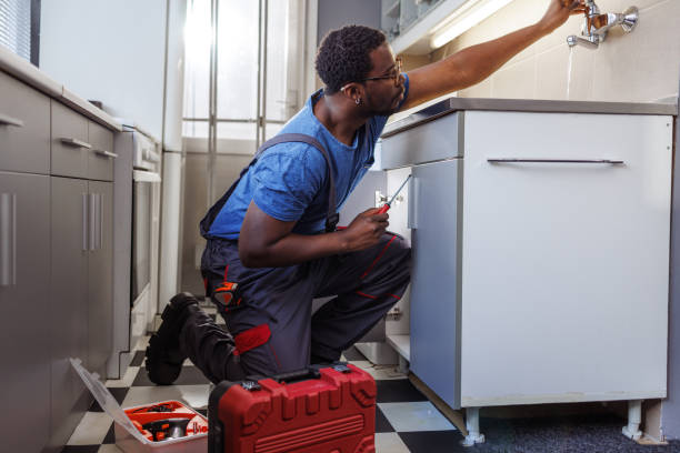 Best Commercial Plumbing Services  in Sugar Grove, IL